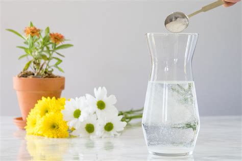 Do Flowers Like Sugar Water: A Sweet Debate on Nature's Preferences