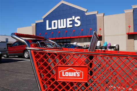 Does Lowes Sell Flowers: A Blooming Discussion on Retail Horticulture