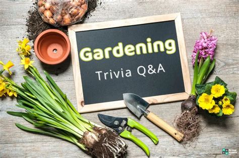 Gardening Trivia Questions and Answers: Unearthing the Secrets of Your Green Thumb