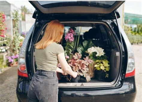 How Long Can Flowers Sit in a Car: A Journey Through Time, Temperature, and Imagination