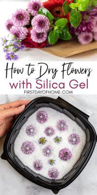 How Long to Dry Flowers in Silica: A Journey Through Time and Petals