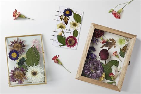 How to Preserve Flowers: A Symphony of Petals and Time