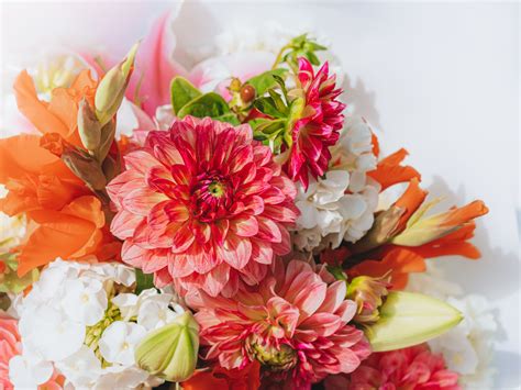 How to Send Flowers to Hospital: A Guide to Brightening Someone's Day with a Touch of Chaos