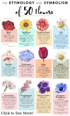 What Flowers Represent Peace: A Symbolic Exploration and Beyond